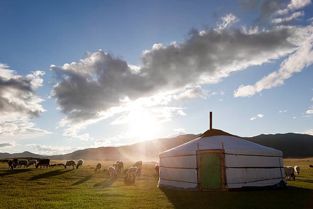 Yurt Tent Kits