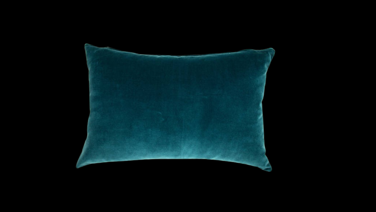 Velvet Cushions