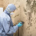 5 Common Causes of Mold and How to Prevent Them