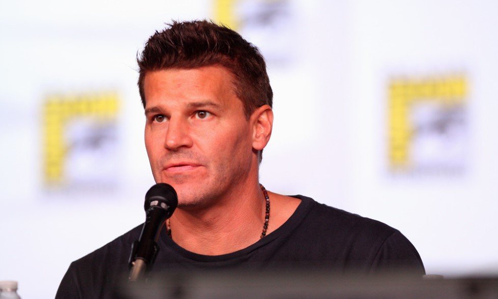 David Boreanaz