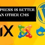 WordPress is Better Than Other CMS