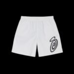 stussy shorts