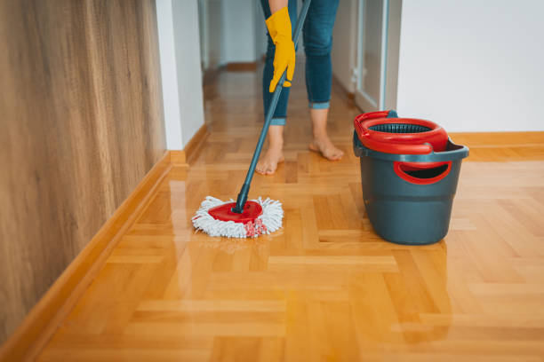 Use a Carpet Cleaner on Hardwood Floors