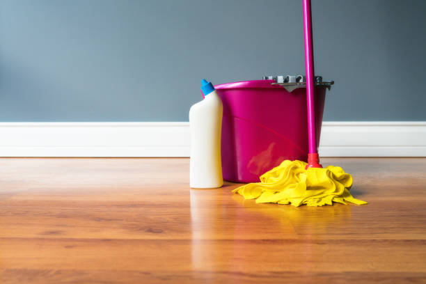 Best Cleaner for Bamboo Floors