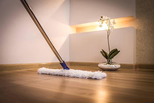 Best Cleaner for Bamboo Floors