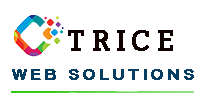 Unlocking Digital Potential with Trice Web Solutions: Leading Digital Marketing Services in India