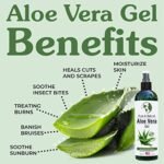 Aloe Vera benifits