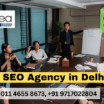 Best SEO Agency in Delhi