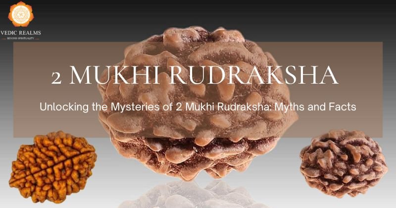 2 Mukhi Rudraksha