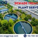 Sewage Treatment Plant Service