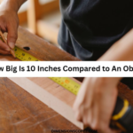 How Many Inches Is 10 Feet