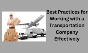 Best Practices for Working with a Transportation Company Effectively