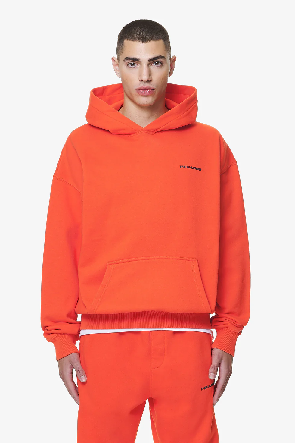 Pegador Hoodie