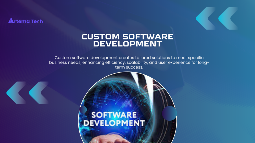 custom software development